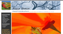 Desktop Screenshot of ernestbraun.com