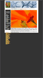Mobile Screenshot of ernestbraun.com