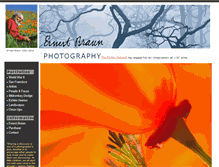 Tablet Screenshot of ernestbraun.com
